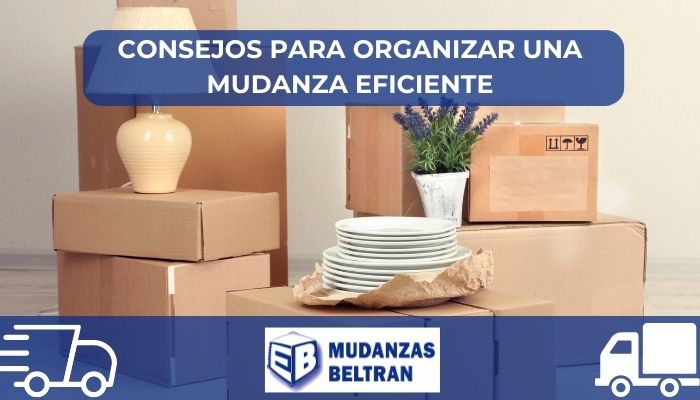 Todo sobre las Cajas para Mudanza【GUÍA COMPLETA】