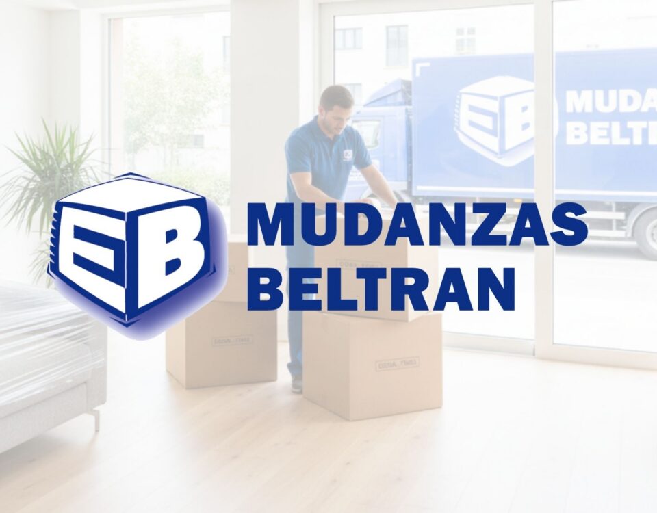 empresa de mudanzas profesional